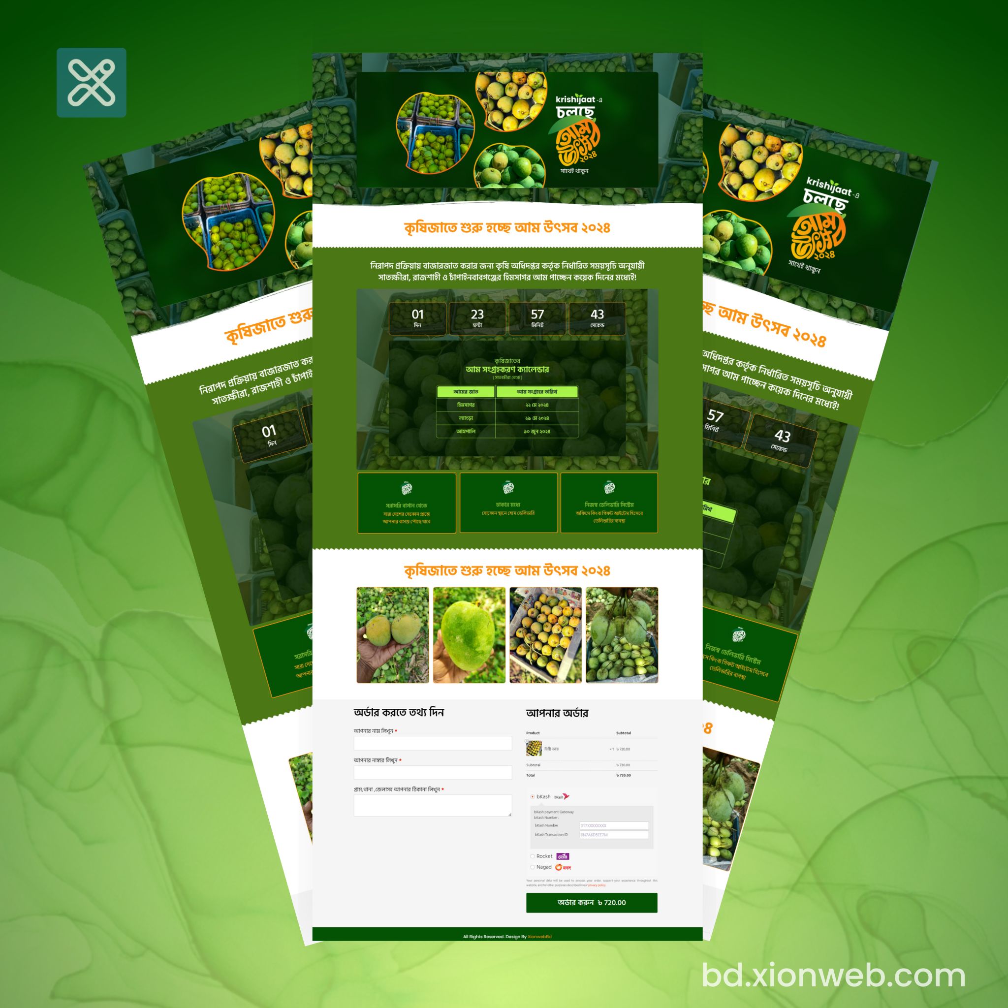 landing-page-bd.xionweb.com-5_5_11zon